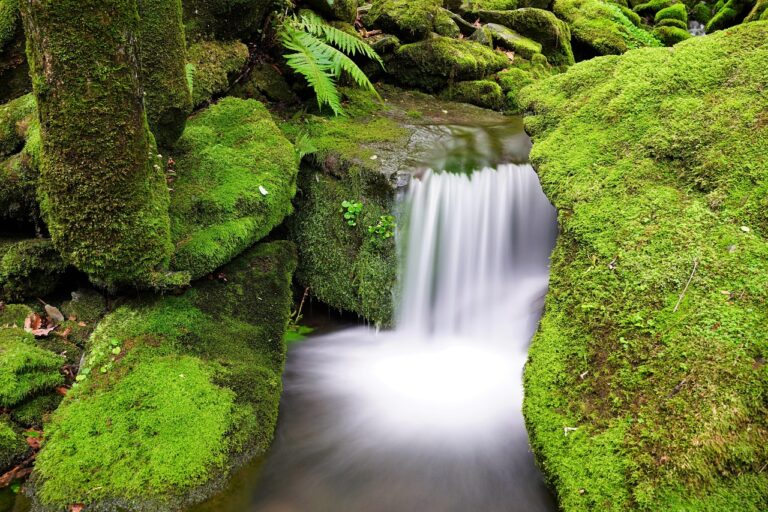 운전 면허 취소 기간 조회: 쉽고 빠르게 알아보는 방법