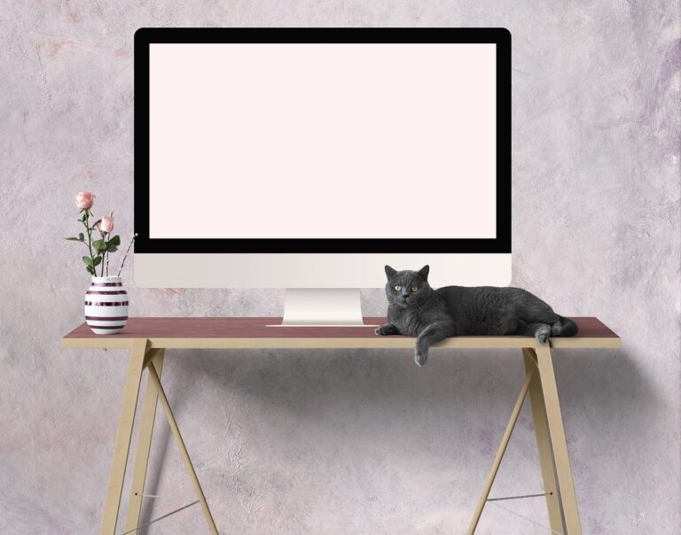 온라인 직무 교육: 효율적인 자기 개발의 새로운 패러다임