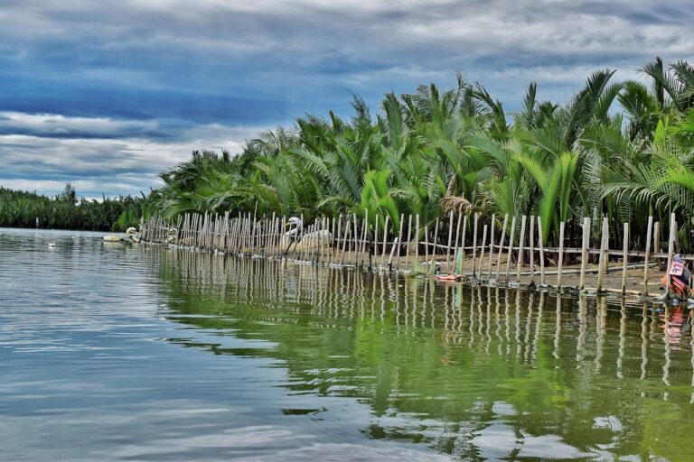 베트남 입국 패스트 트랙으로 여행을 더욱 편하게!