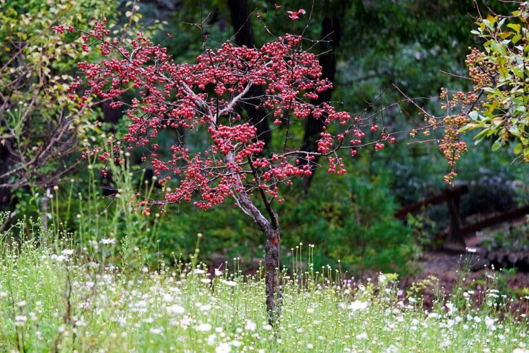 키 크는 약: 효과와 부작용, 올바른 선택 방법