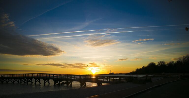 cs 대행: 고객 서비스 개선을 위한 효과적인 전략