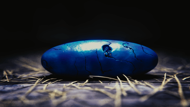 시판 이유식, 부모님들을 위한 필수 정보와 선택 가이드