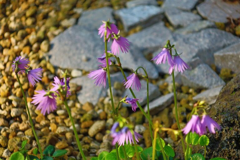 일본 오사카 가볼만한 곳: 숨겨진 보석 같은 여행 명소