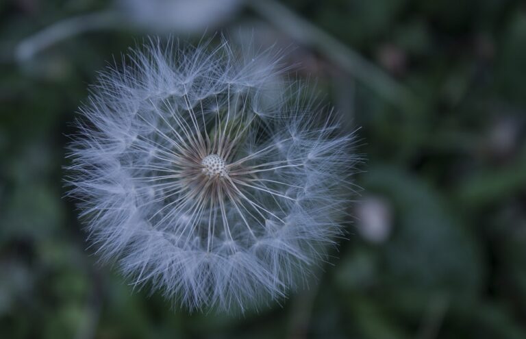 족저 근막염 치료 방법: 당신의 발 건강을 지키는 방법