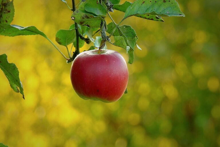 강릉 파라다이스 모텔: 해변과 가까운 완벽한 휴식처