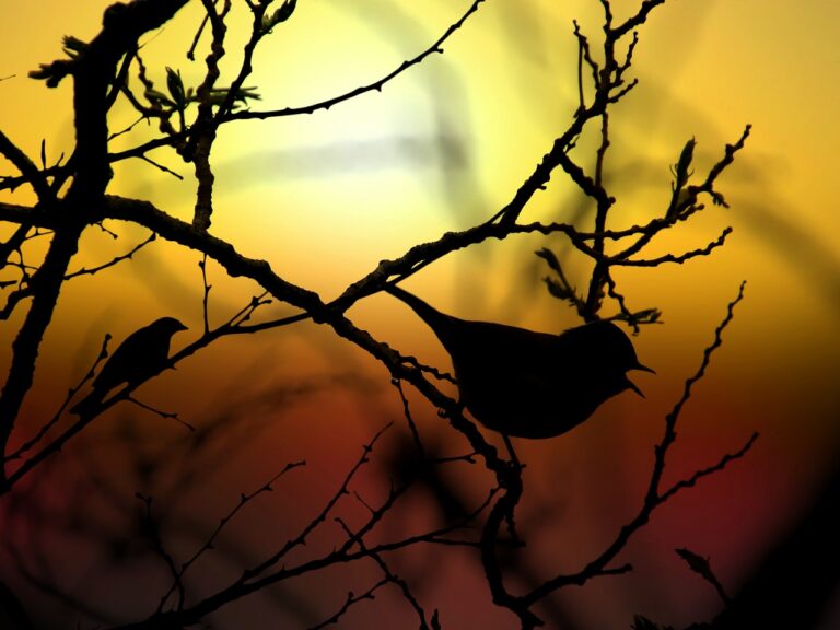 효과적인 등 드름 없애는 법: 건강한 자세 만들기