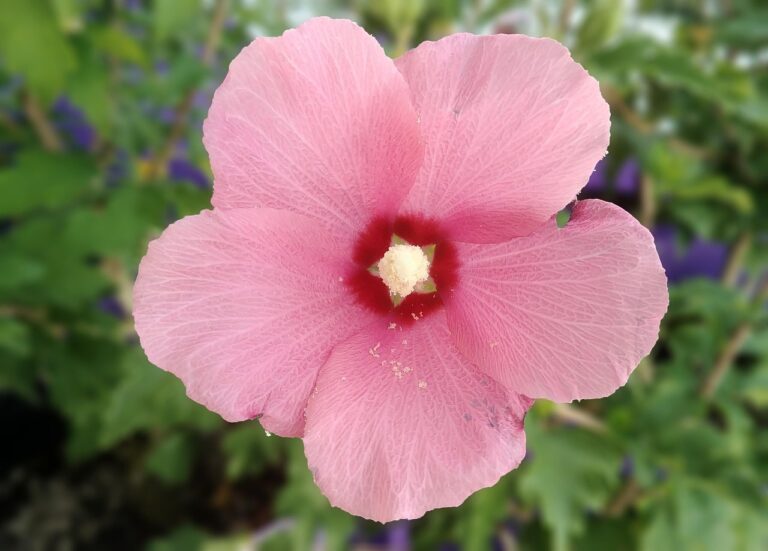 저분자 어린 콜라겐으로 피부의 젊음을 되찾으세요