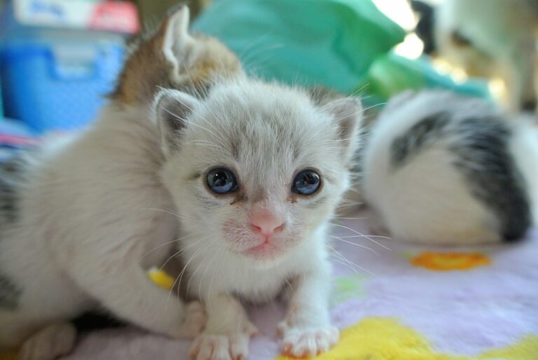 가족 여행 티: 소중한 추억을 만드는 완벽한 선택
