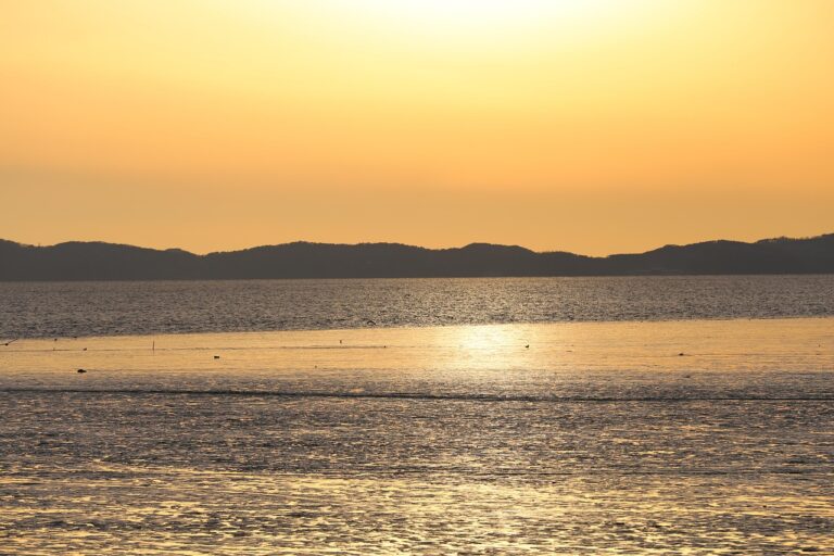 인천 공항 콜택시: 편리하고 안전한 공항 이동 방법