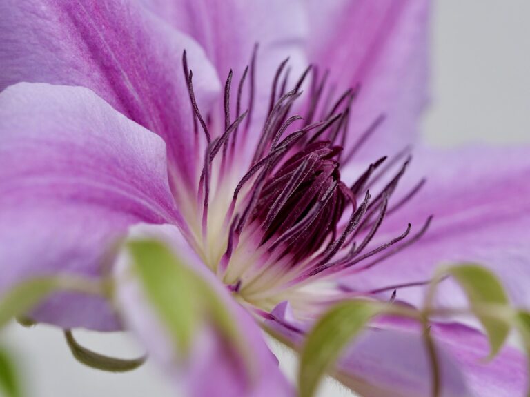 LG 공기 청정기 퓨리 케어: 집안의 안전한 공기를 위한 선택