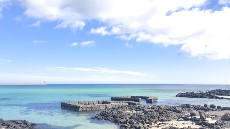 날씨 예보, 일상에 미치는 영향과 활용 방법