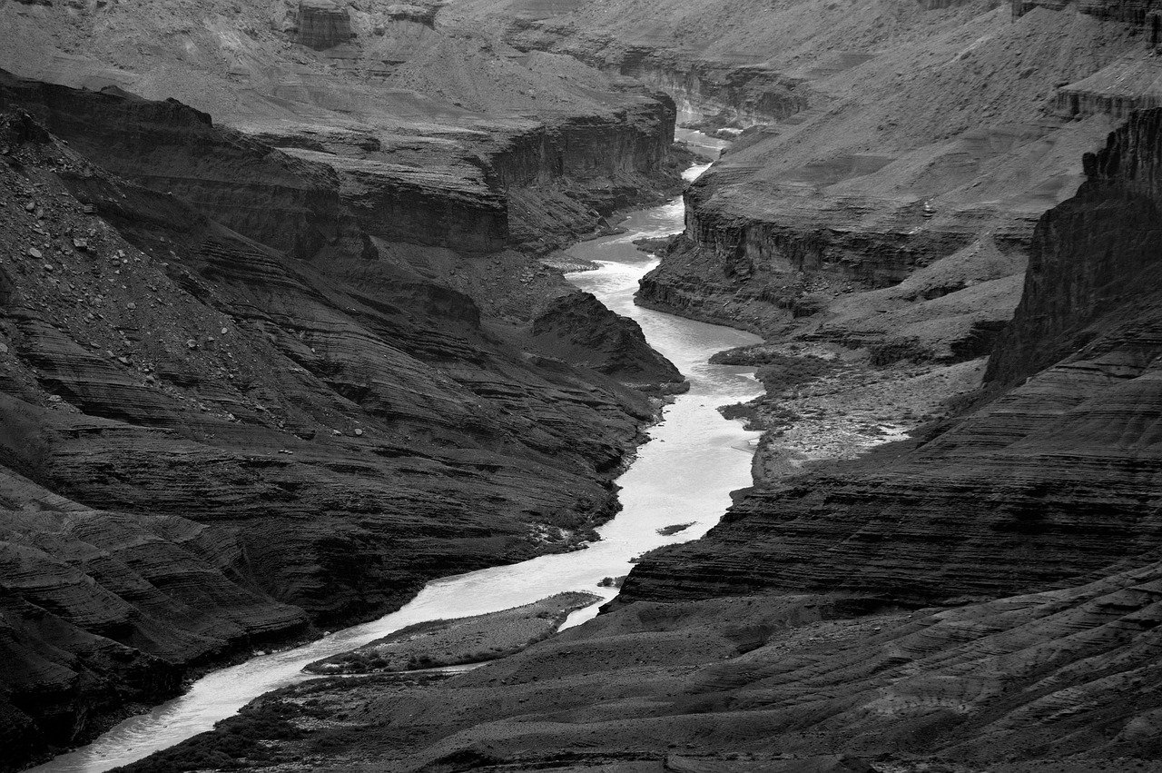 검은 사막 이관 신청