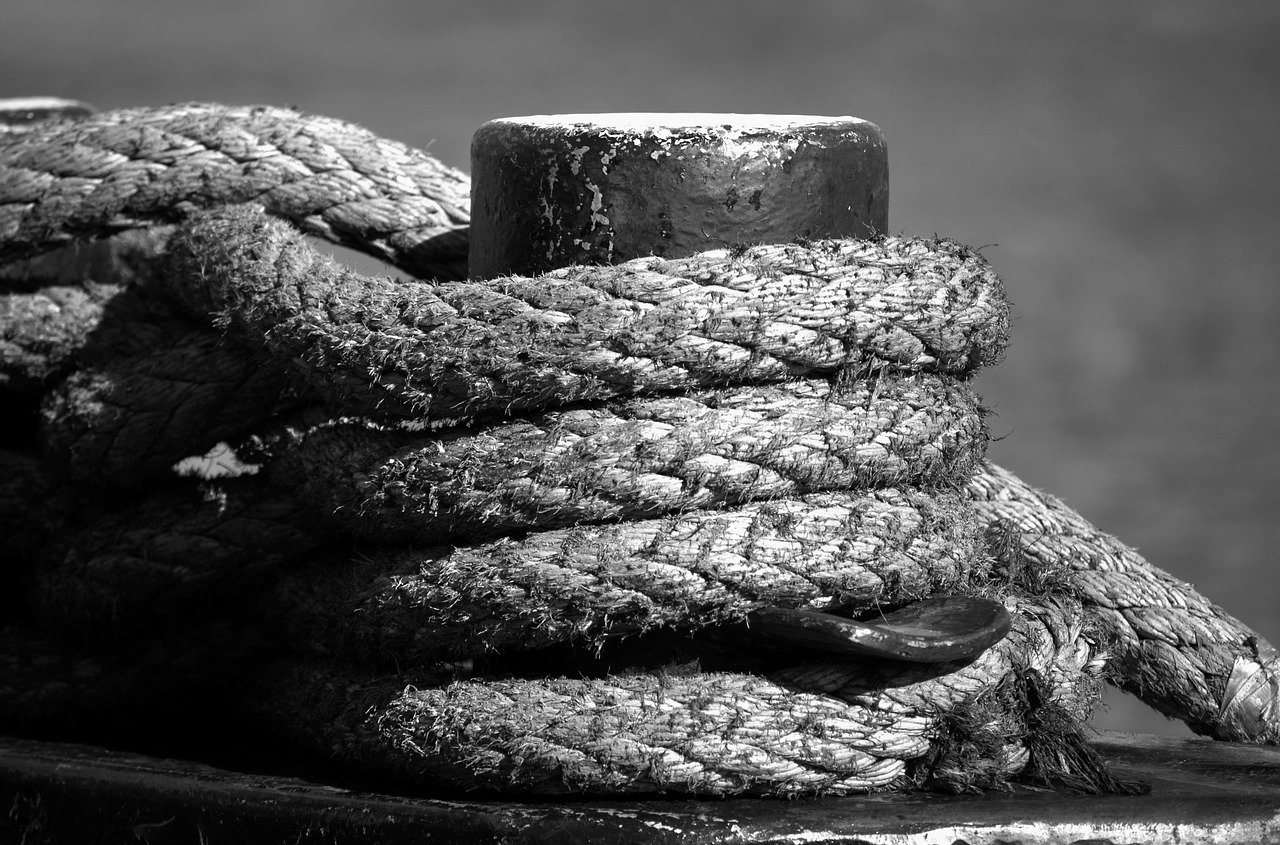 t 멤버십 신청 가능한 회선 이 없습니다