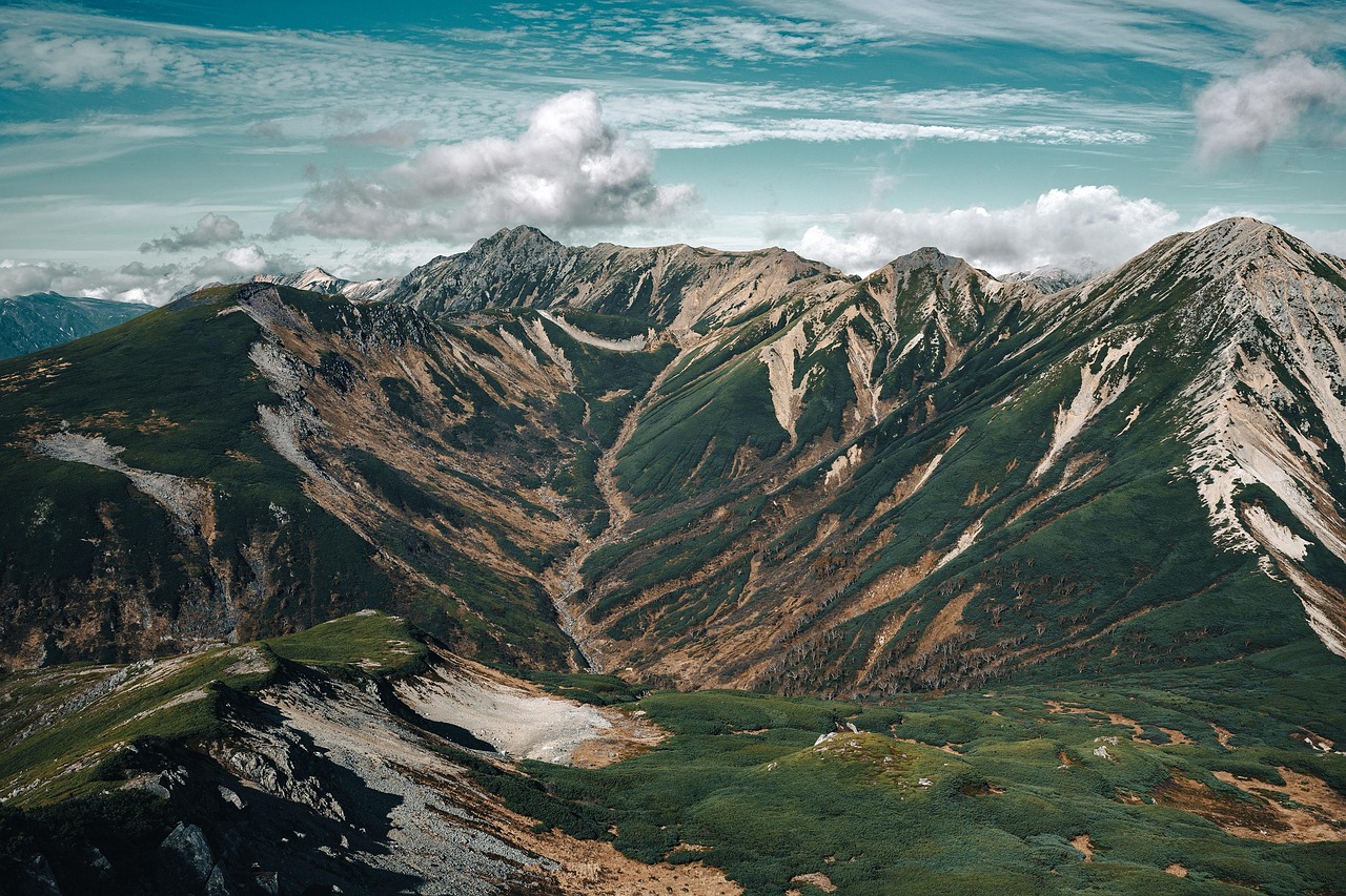 국가 장학금 신청 사이트