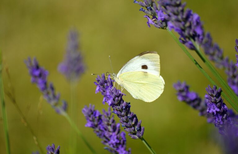 가환부 신청을 쉽게 하는 방법 알아보자
